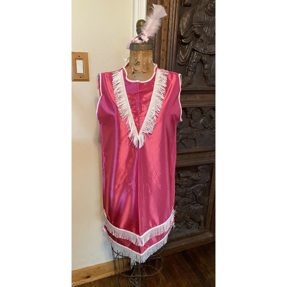 Vintage Flapper Dress Costume Pink 1920’s Gatsby F
